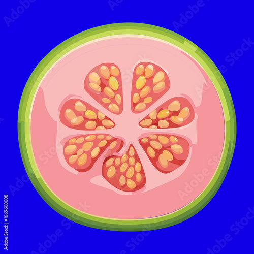 A half-cut pink guava showing the rich details of its pulp and seeds on a blue background - Vector Illustration