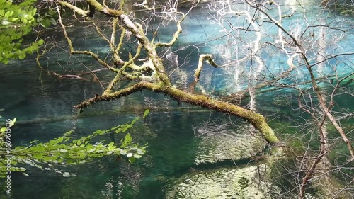 【自然・風景】澄んだ水が流れる風景　250815-2
