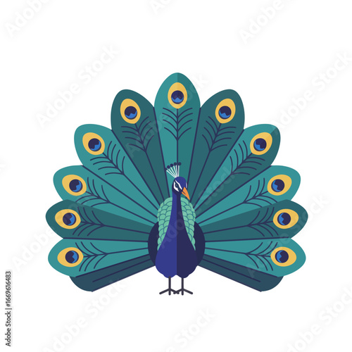 Colorful Peacock with Displayed Feathers