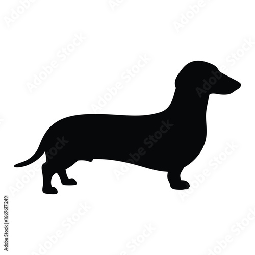 Dachshund dog silhouette vector image for pet lovers and animal enthusiasts download now for free use