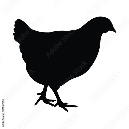 Isolated black chicken silhouette vector illustration farm animal poultry fowl domestic bird design graphic art
