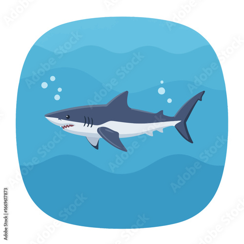 Shark Swimming in the Ocean