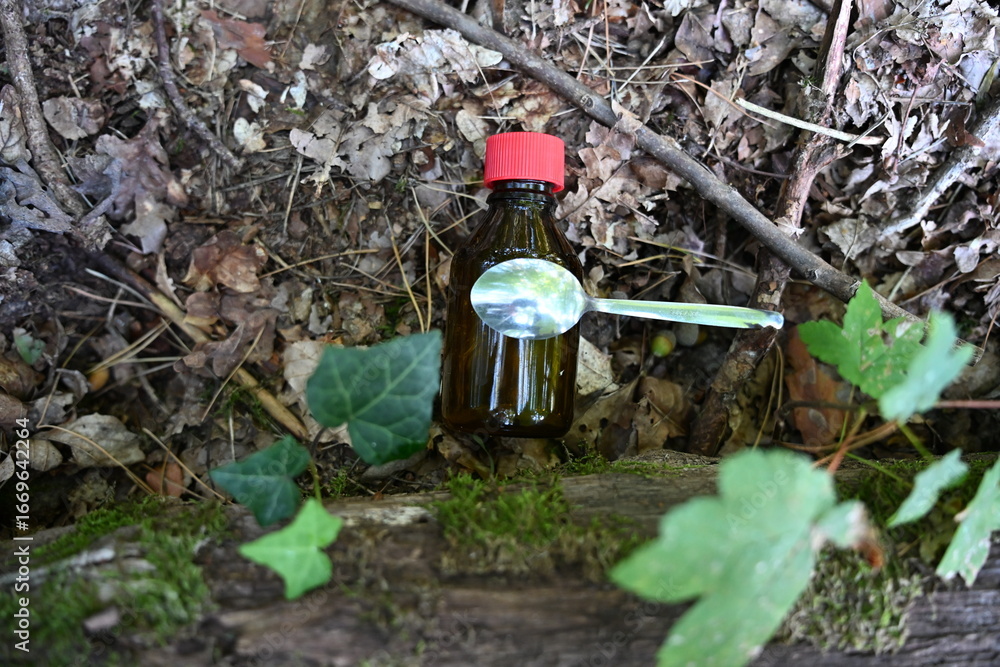 Obraz premium Close-up of a small brown glass bottle with a red cap and a metal spoon placed on the forest floor among dry leaves and green ivy. Concept of traditional medicine, natural remedies, and ecology.
