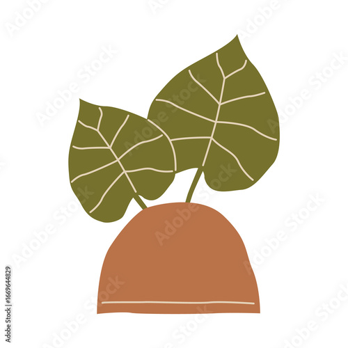 vector illustration of a green leaf
