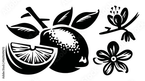 Black and White Illustration of Lemon, Lemon Slice, and Blossom Design