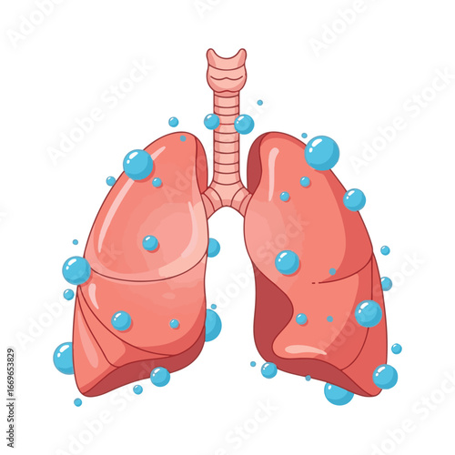 Healthy Human Lungs with Air Bubbles Vector Illustration Respiratory System