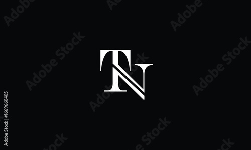 TN,NT,T,N,N,T abstract, letters, logo, monogram, style, symbols, ambitions, icons, 

