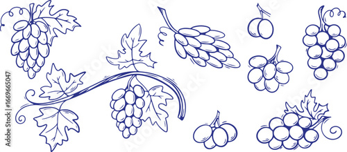 Hops, Beer, Brewing, Plant, Nature, Botanical, Sketch, Organic, Farm, Craft, Brew, Ingredient, Leaf, Vine, Harvest, Decorative, Art, Brewery