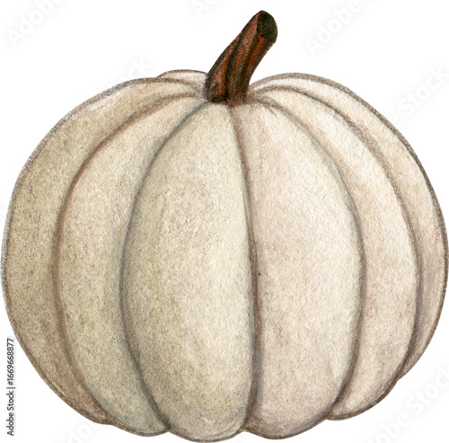 Watercolor pumpkin