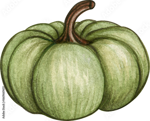watercolor pumpkin