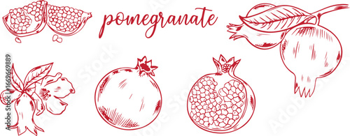 Pomegranate Vector Art with Fruit Elements, Hand-Drawn Style, Black and White, Creative, Illustrative, Elegant, Artistic, Minimalist, Whimsical, Exotic, Detailed, Juicy, Natural, Decorative, Organic, 