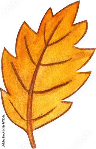 watercolor hand drawn Autumn leaves