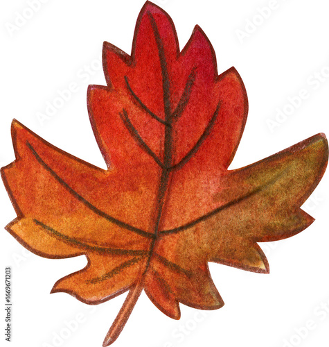 watercolor hand drawn Autumn leaves