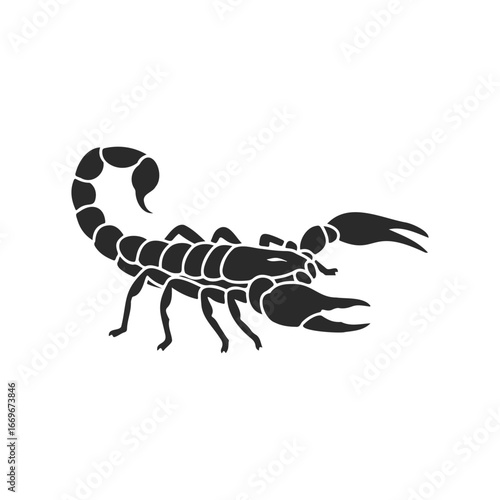 Silhouette of scorpion on white background - detailed illustration