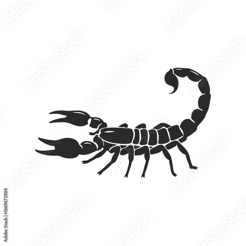 Black silhouette of scorpion on white background
