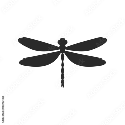 Silhouette of a dragonfly with outstretched wings on white background