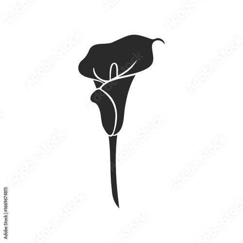 Elegant black and white calla lily silhouette illustration