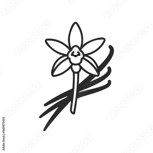 Black and white vanilla bean drawing with flower and pods