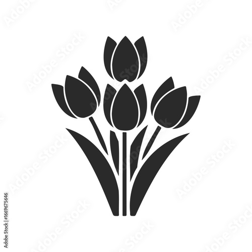 Silhouette of tulip flowers with leaves on white background