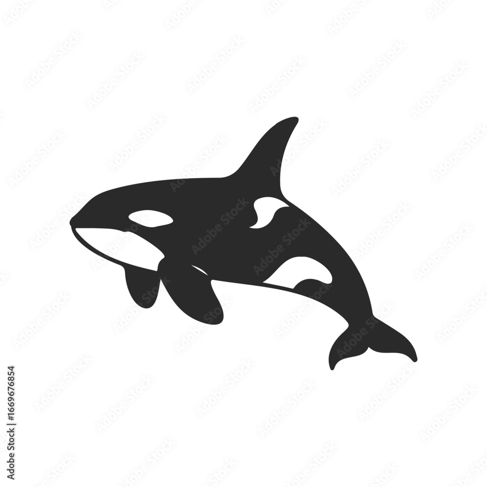 Fototapeta premium Silhouette of an orca whale on white background