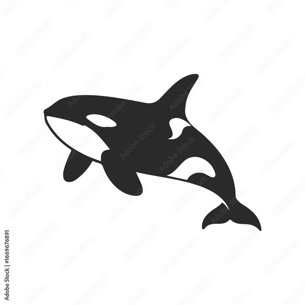 Fototapeta premium Orca silhouette illustration on white background