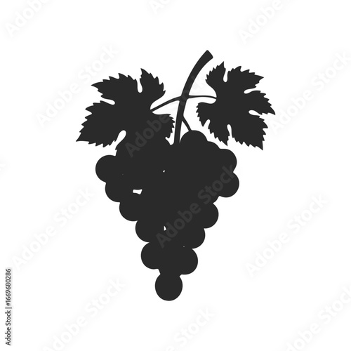 Silhouette of a grape cluster with leaves on white background