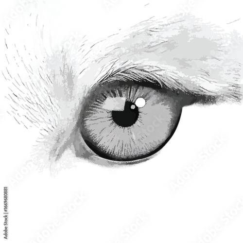 A detailed black and white closeup of a predators intense piercing eye surrounded by white fur.