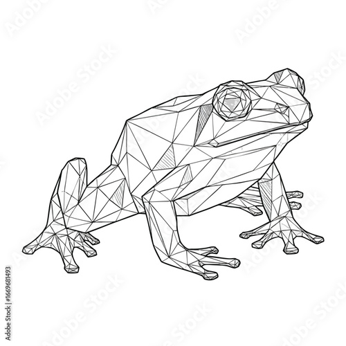 A geometric lowpoly frog illustration in a black and white wireframe style.