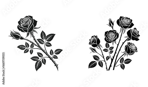 Two vintage black and white floral illustrations of blooming roses with leaves and thorns