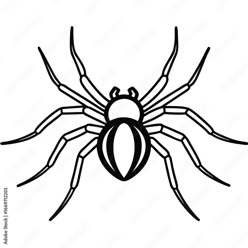 Obraz premium spider crawling line art vector icon
