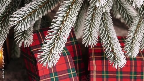 Snowdusted pine branches gracefully overhang vibrant plaid gift boxes in holiday setting