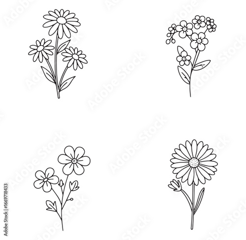 Hand drawn floral illustrations featuring daisies forget me nots and other botanical elements for design.