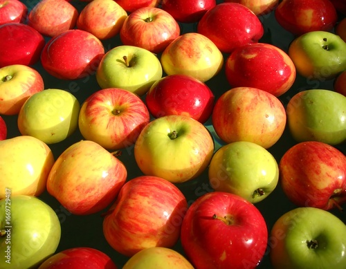 Red and green apples floating in water
