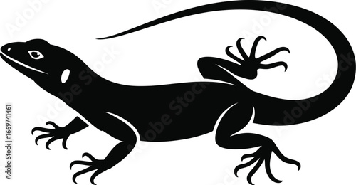 Black lizard silhouette reptile white