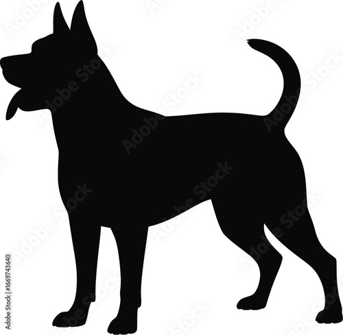 Black dog silhouette standing alert white background