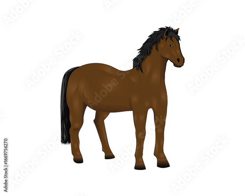 vector design of a dark brown horse animal with black hair and tail