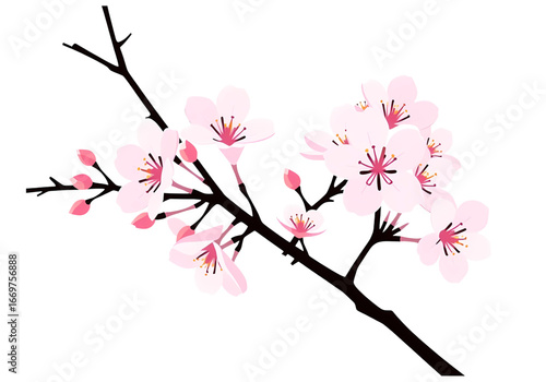 An Expressive and Lyrical New Vector Illustration of a Pink Sakura Flower Branch, Combining Delicate Petals with a Minimalist Design for Versatile Use. Beautiful flowers design.