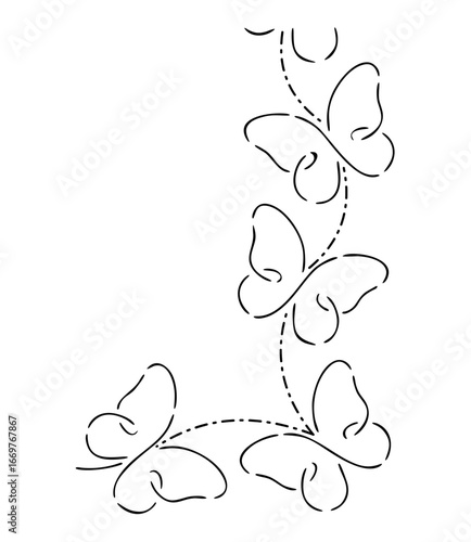 butterfly vector lineart illustration. One Line style drawing. set of butterfly chasing each other