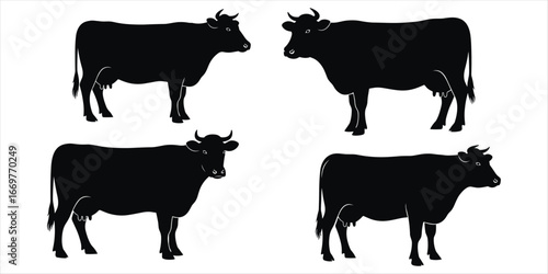 Four black cow silhouettes with udders on white background cattle animal