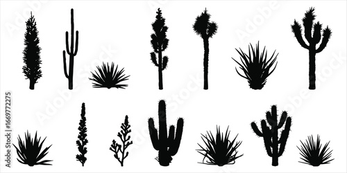 Silhouette collection of desert plants including cacti and succulents on white background cactus