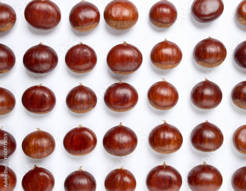 白い背景に整列した栗のイラスト壁紙 コピースペースあり