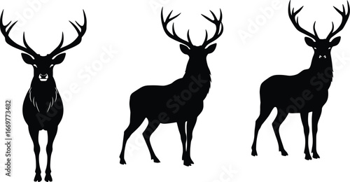 Three black silhouettes of stags with large antlers on a white background Keywords: stag, deer, elk