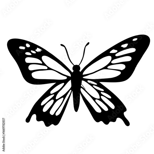 butterfly vector illustration