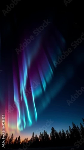 Wallpaper Mural Vibrant aurora glowing in colorful night sky above pine forest silhouette, magical and mesmerizing atmosphere with vibrant colors, peaceful relaxing loop story background video Torontodigital.ca