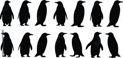 Penguin silhouette illustration, black and white animal shape, antarctic bird design, wildlife vector art, nature symbol, isolated penguin drawing, graphic icon