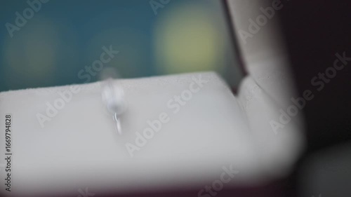 Wedding rings, couple rings, ring macro close-up