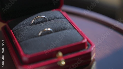 Wedding rings, couple rings, ring macro close-up