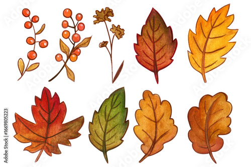 watercolor hand drawn Autumn leaves