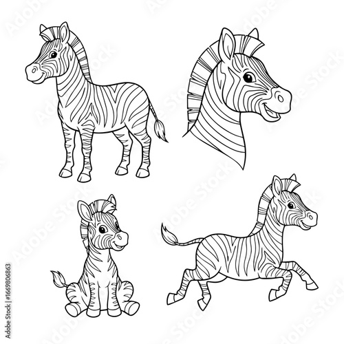 vector illustration of a zebra