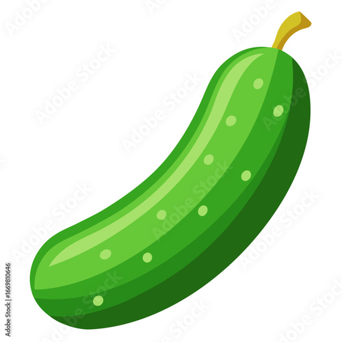 Minimalist color vector illustration of a fresh cucumber